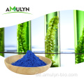 Natürliche Lebensmittelfarbe Blaues Spirulina-Phycocyanin-Pulver